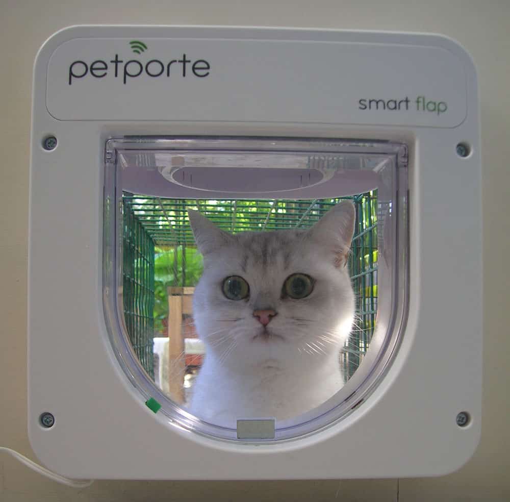KEDİ KAPISI